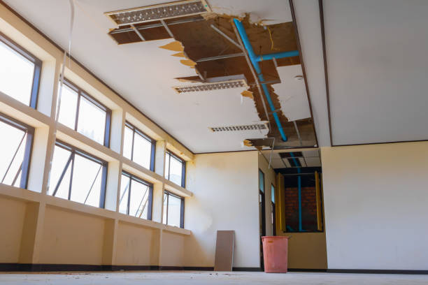 Best Flood restoration services  in Traverse City, MI