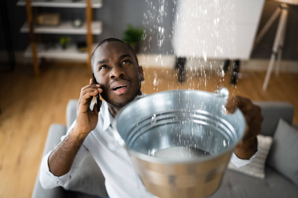 Best 24-hour water damage restoration  in Traverse City, MI