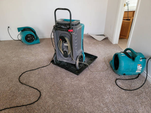 Best Water damage restoration near me  in Traverse City, MI
