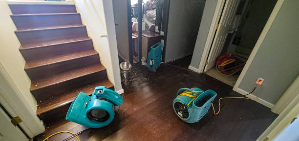 Best Ceiling water damage repair  in Traverse City, MI