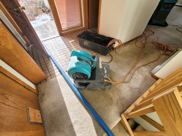 Best Professional water damage repair  in Traverse City, MI