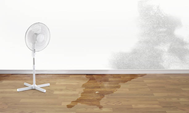 Best Water damage restoration experts  in Traverse City, MI