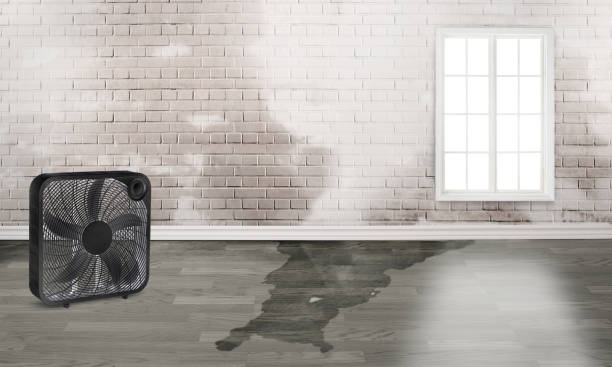 Best Water damage cleanup near me  in Traverse City, MI