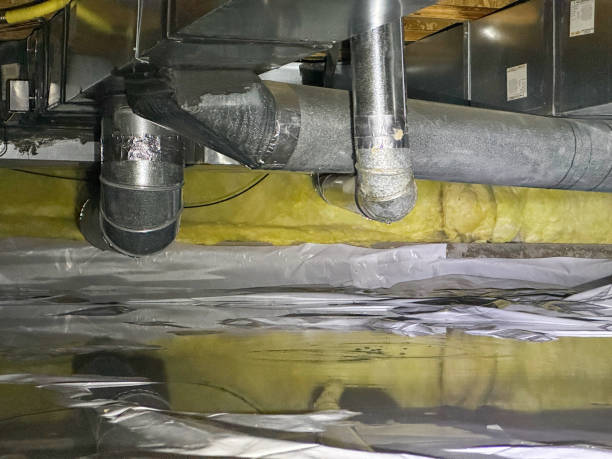 Best Sewage cleanup and water damage restoration  in Traverse City, MI