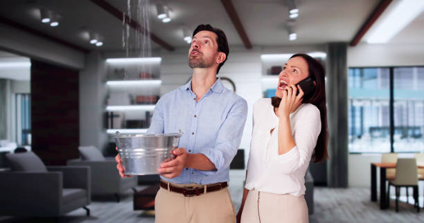 Best Carpet water damage restoration  in Traverse City, MI