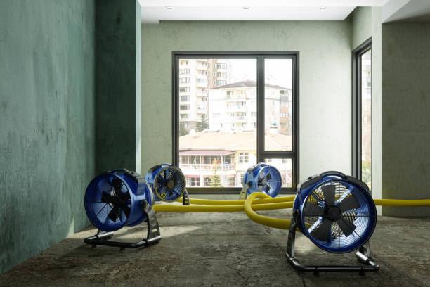 Best Emergency water damage restoration  in Traverse City, MI